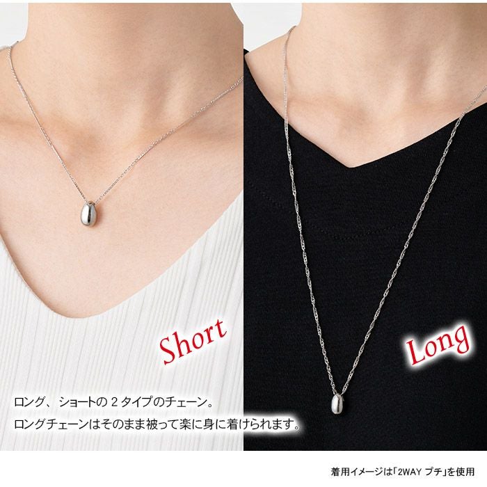 遺骨ペンダント Soul Jewelry ペンダント 2way ステンレス「プチ」ー